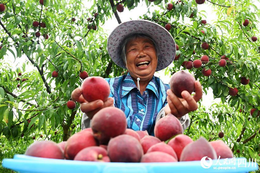 豐收的喜悅。蘭自濤攝