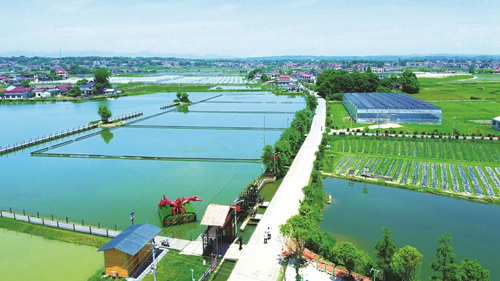 近年來(lái)，大成橋鎮(zhèn)堅(jiān)持加強(qiáng)黨對(duì)鄉(xiāng)村治理的集中統(tǒng)一領(lǐng)導(dǎo)，該鎮(zhèn)鄉(xiāng)村治理模式入選第二批全國(guó)鄉(xiāng)村治理典型案例。圖為美麗的大成橋鎮(zhèn)。（資料圖片）