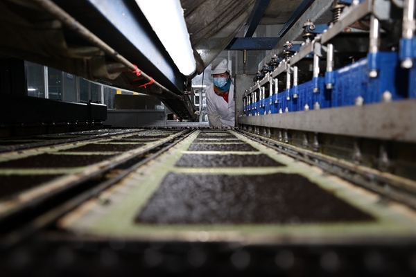 柘汪紫菜產(chǎn)業(yè)園內(nèi)入駐企業(yè)的紫菜生產(chǎn)線。贛榆區(qū)委宣傳部供圖