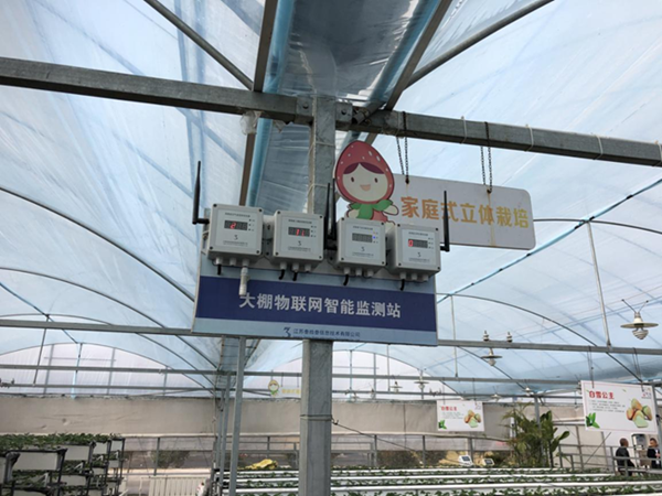都市四季果園內(nèi)的物聯(lián)網(wǎng)智能監(jiān)測(cè)站系統(tǒng)。東?？h委宣傳部供圖
