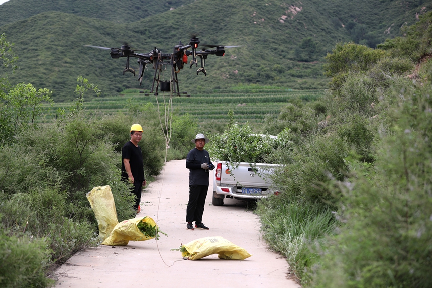 在石家莊市井陘縣吳家窯鄉(xiāng)長峪村荒山造林現(xiàn)場，一名無人機手操控無人機運輸樹苗。王保龍攝