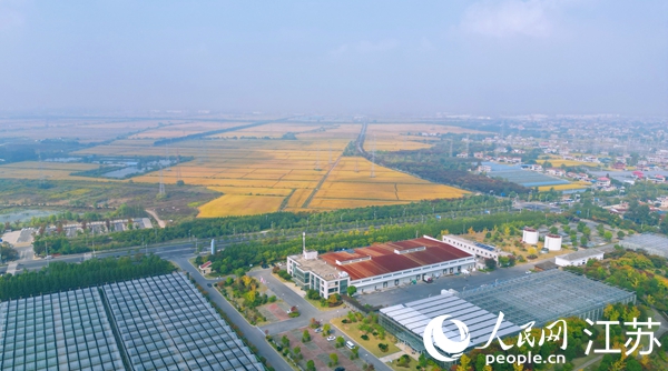 位于幸福街道的“萬頃良田”。人民網(wǎng)記者 王繼亮攝