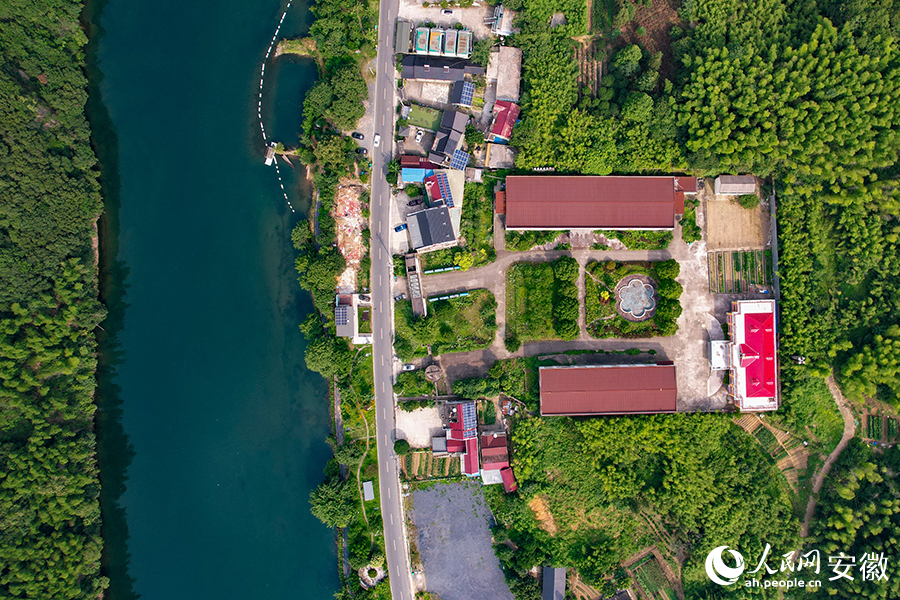 儲(chǔ)家灘民宿區(qū)。人民網(wǎng)記者 苗子健攝