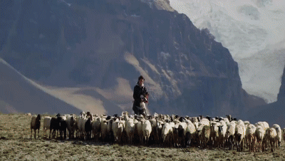 你看了嗎？藏語版《日光之城》“含金量”還在上升！