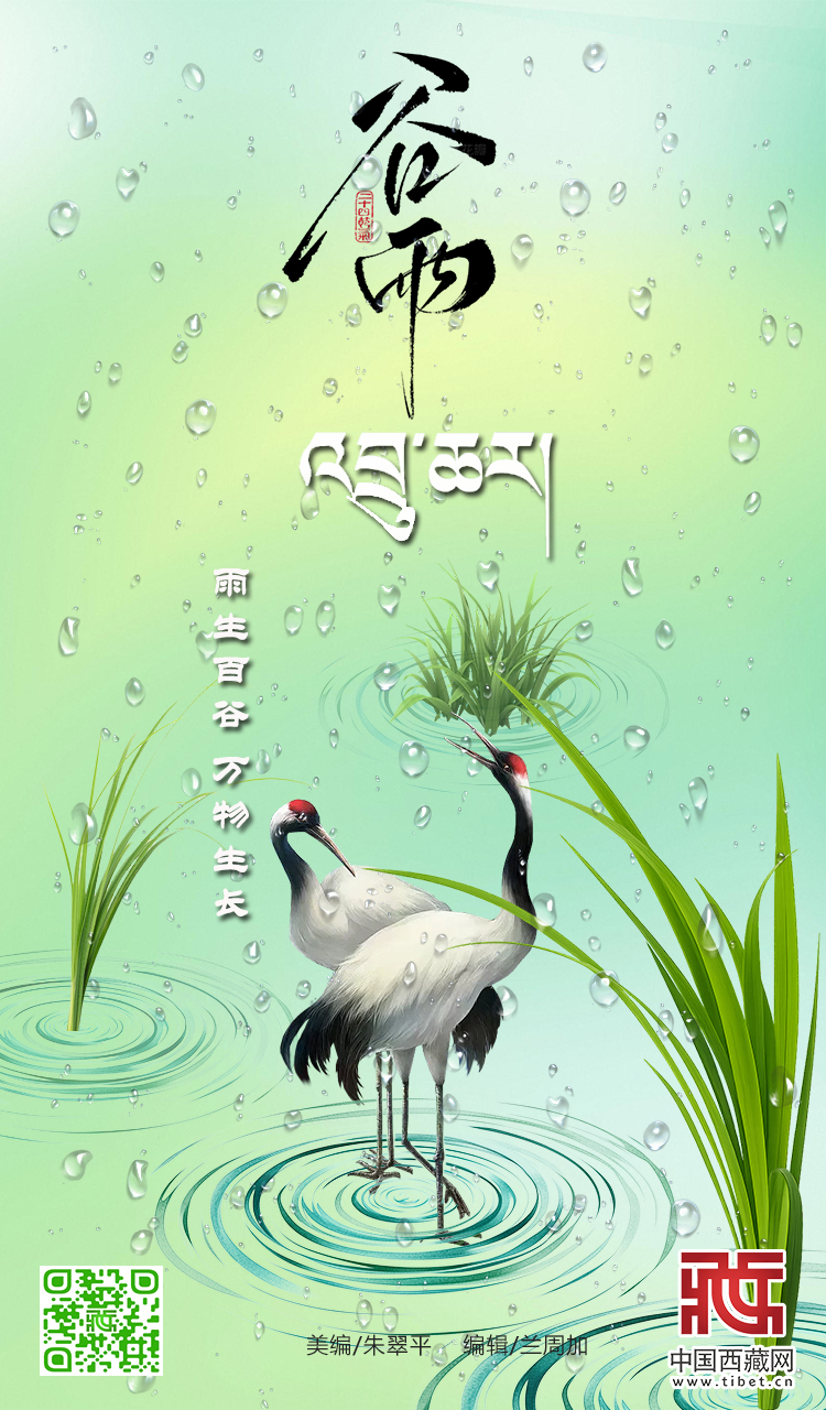 谷雨.jpg