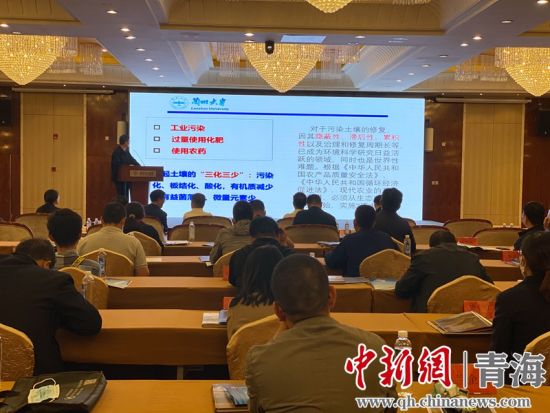 圖為論壇現(xiàn)場。李江寧攝