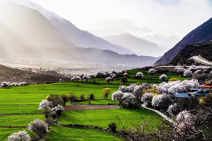 西藏林芝市波密縣傾多鎮(zhèn)八朵卡的田園風(fēng)光（攝于4月5日）。新華網(wǎng) 達(dá)娃攝.jpg