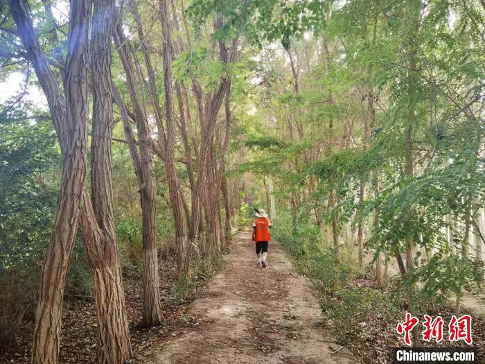 戈壁灘上的護(hù)林員：以前風(fēng)吹睜不開(kāi)眼，現(xiàn)在滿眼皆綠色