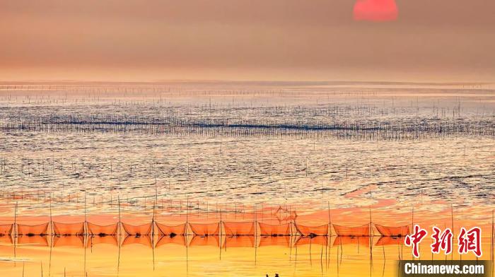 江蘇鹽城被譽為金灘銀蕩、魚米之鄉(xiāng)。　鹽城市委宣傳部供圖