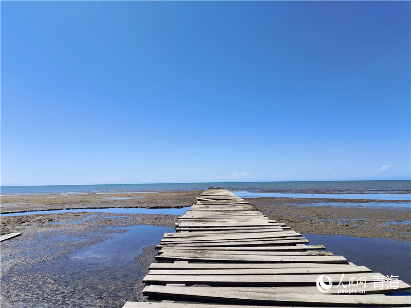   青海湖仙女灣。人民網(wǎng) 張莉萍攝