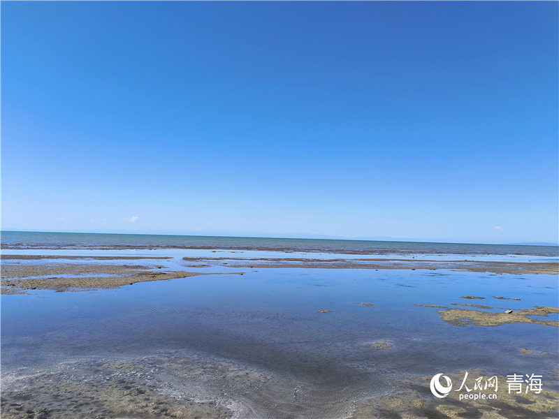   青海湖仙女灣。人民網(wǎng) 張莉萍攝