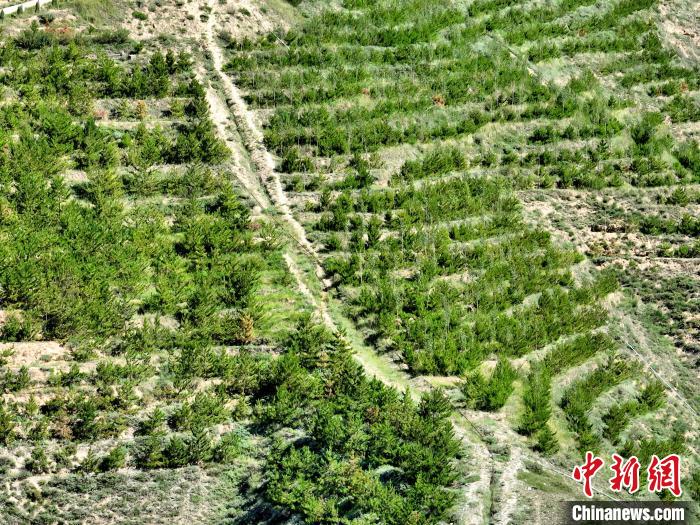 航拍建行青海省分行綠化區(qū)?！∑钤鲚?攝