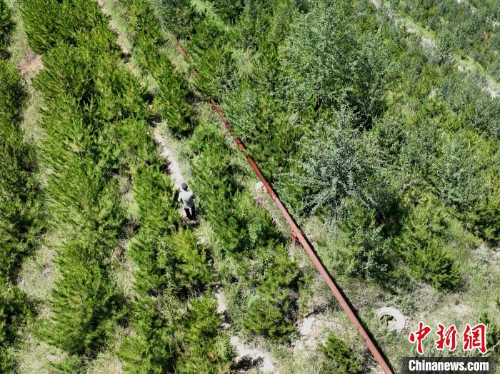 航拍建行青海省分行綠化區(qū)施工隊隊長盧占祥正在巡護綠化區(qū)?！∑钤鲚?攝