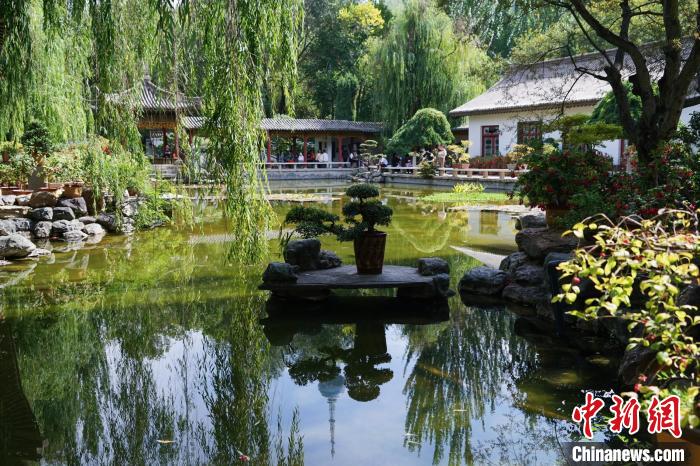 圖為西寧園林植物園秋日風(fēng)景別有韻味。　馬銘言 攝