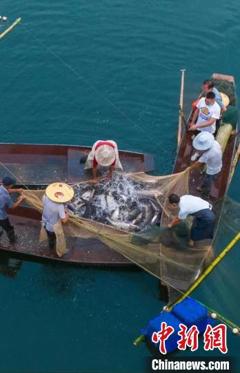 捕魚現(xiàn)場(chǎng)?！≈鬓k方供圖