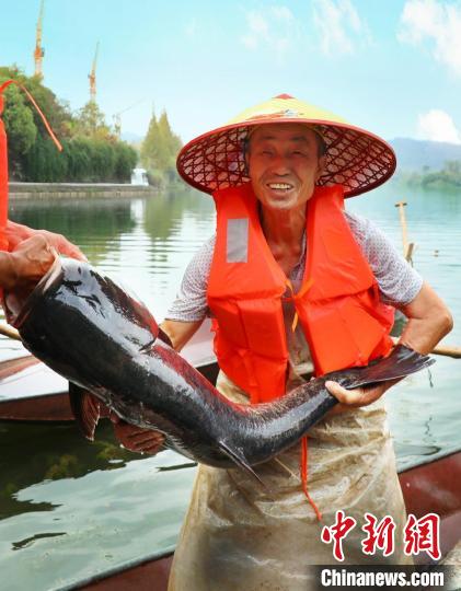 工作人員展示捕撈成果?！≈鬓k方供圖