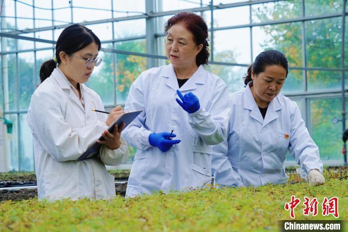 圖為張錦梅(中)與同事在討論數(shù)據(jù)。馬銘言 攝