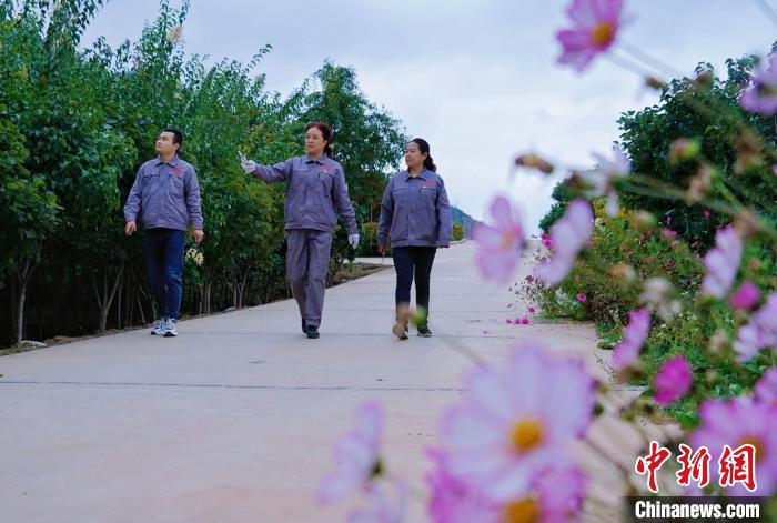 圖為張錦梅(中)與同事在西寧北山查看丁香樹?！●R銘言 攝