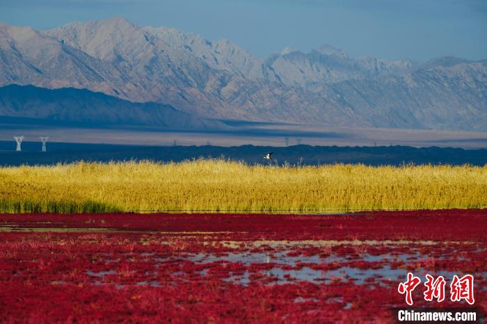 圖為柴達(dá)木盆地可魯克湖?！」?攝