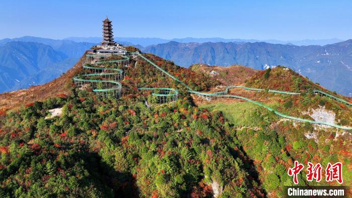 巴山大峽谷彩林迎來最佳觀賞期?！∫κ?攝