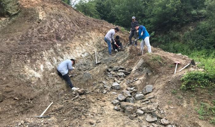 2018年玉海翼角魚(yú)野外發(fā)掘采集現(xiàn)場(chǎng)。　蓋志琨 攝