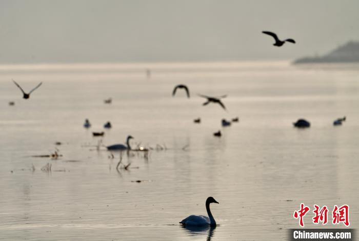 青海自然資源領域：構(gòu)建具有青藏高原特色生態(tài)產(chǎn)品價值實現(xiàn)路徑