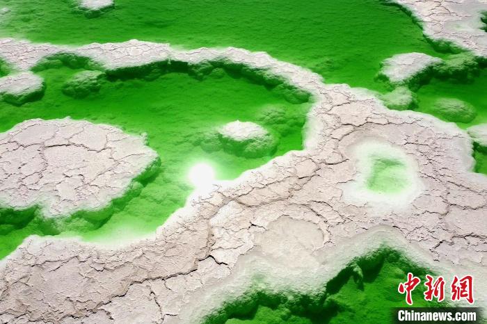 青?！拔鞔箝T”茫崖多舉措蓄能鹽湖產(chǎn)業(yè)發(fā)展