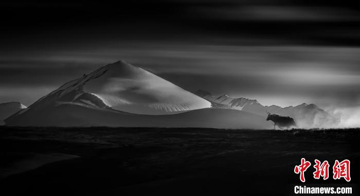 青海攝影師斬獲第二屆錦繡中華(金鼎獎)全國風(fēng)光攝影大賽金獎