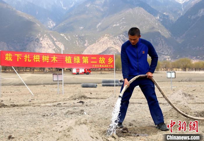 林芝市巴宜區(qū)森林消防中隊(duì)志愿服務(wù)隊(duì)澆水灌溉?！∥骼@拉翁 攝
