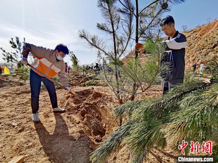 圖為西寧市城東區(qū)義務(wù)植樹活動(dòng)現(xiàn)場。　張?zhí)砀?攝