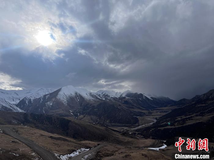 國(guó)家下達(dá)1000萬元用于青海林業(yè)草原有害生物防治能力建設(shè)