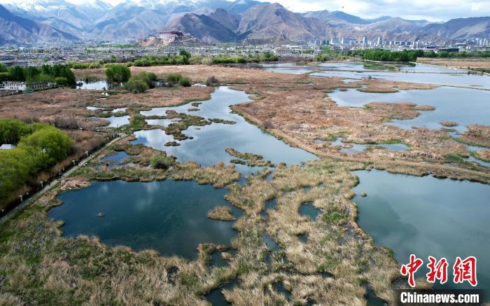圖為拉薩拉魯濕地。(無人機照片) 李林 攝
