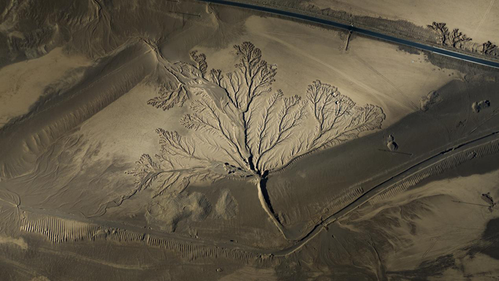 無人機視角下的西藏阿里地區(qū)改則縣“大地之樹”景觀。尼瑪多吉攝