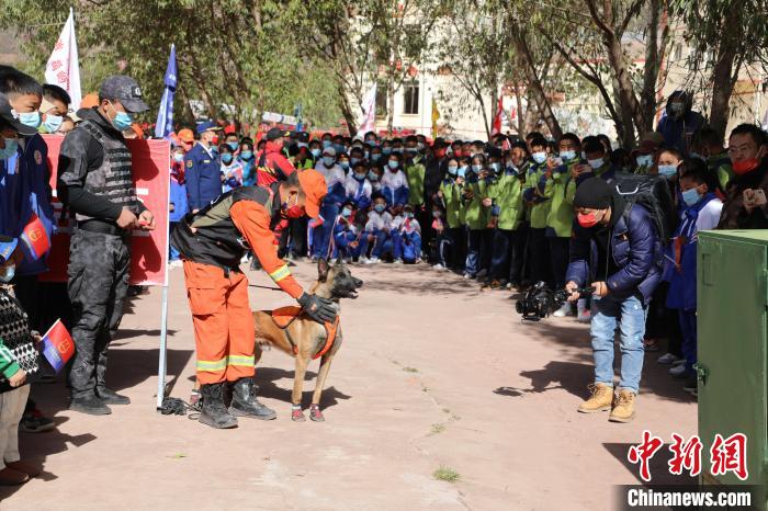 圖為搜救犬服從和箱體搜救演練?！≮w琳 攝