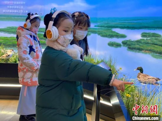 圖為學生在西寧市第一中學濕地科普宣教館內(nèi)參觀。　李江寧 攝