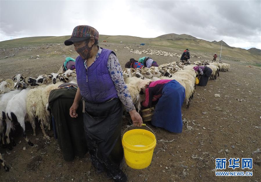 (新華全媒頭條·走向我們的小康生活·決戰(zhàn)決勝脫貧攻堅(jiān)·圖文互動)(2)兩次遷徙“搬窮”記——海拔最高縣雙湖的“戰(zhàn)貧故事”