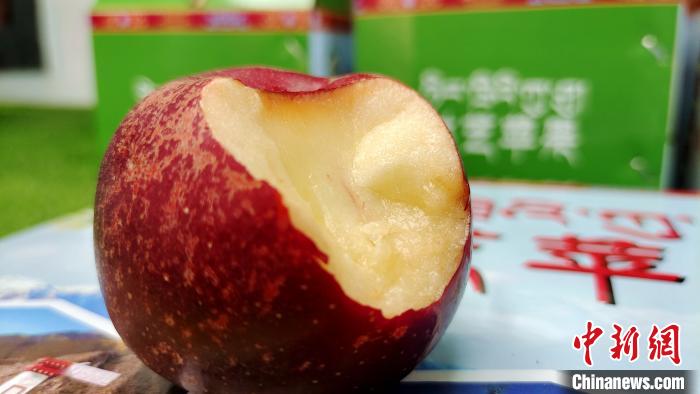 圖為通麥村特色甜心蘋果?！∝暽＠?攝