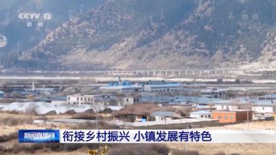 種蘑菇、養(yǎng)駱駝...。。特色產(chǎn)業(yè)助力鄉(xiāng)村振興走新路