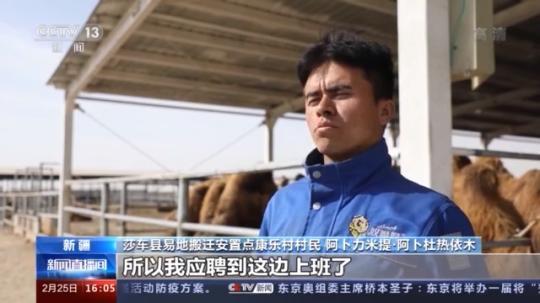 種蘑菇、養(yǎng)駱駝...。。特色產(chǎn)業(yè)助力鄉(xiāng)村振興走新路