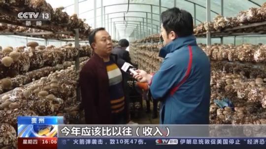 種蘑菇、養(yǎng)駱駝...。。特色產(chǎn)業(yè)助力鄉(xiāng)村振興走新路