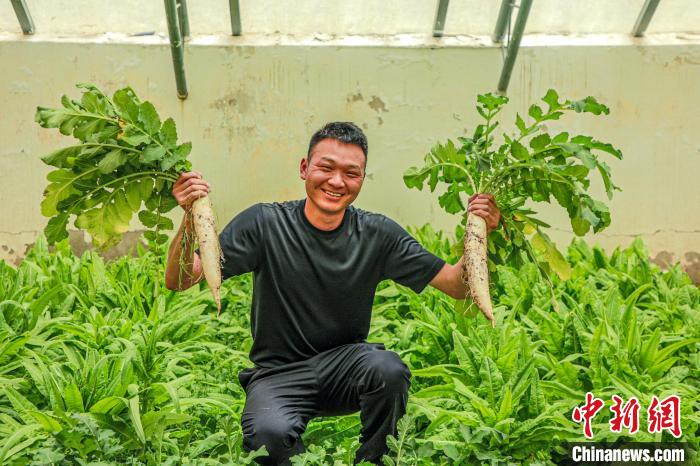 西藏阿里門(mén)士邊境派出所民警兼職大棚種植、豐富牧民餐桌