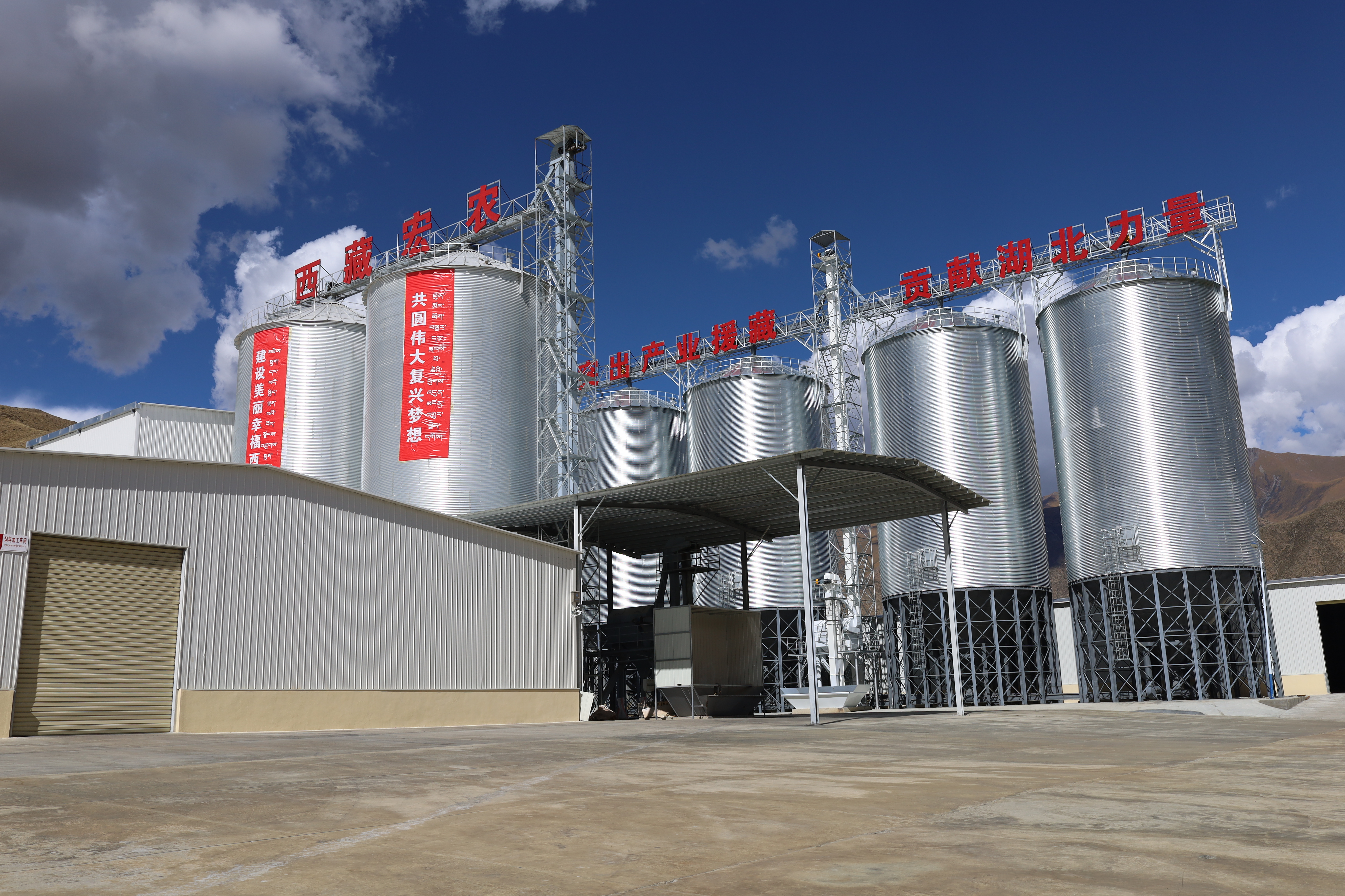 IMG_8768.jpg IMG_8768.jpg