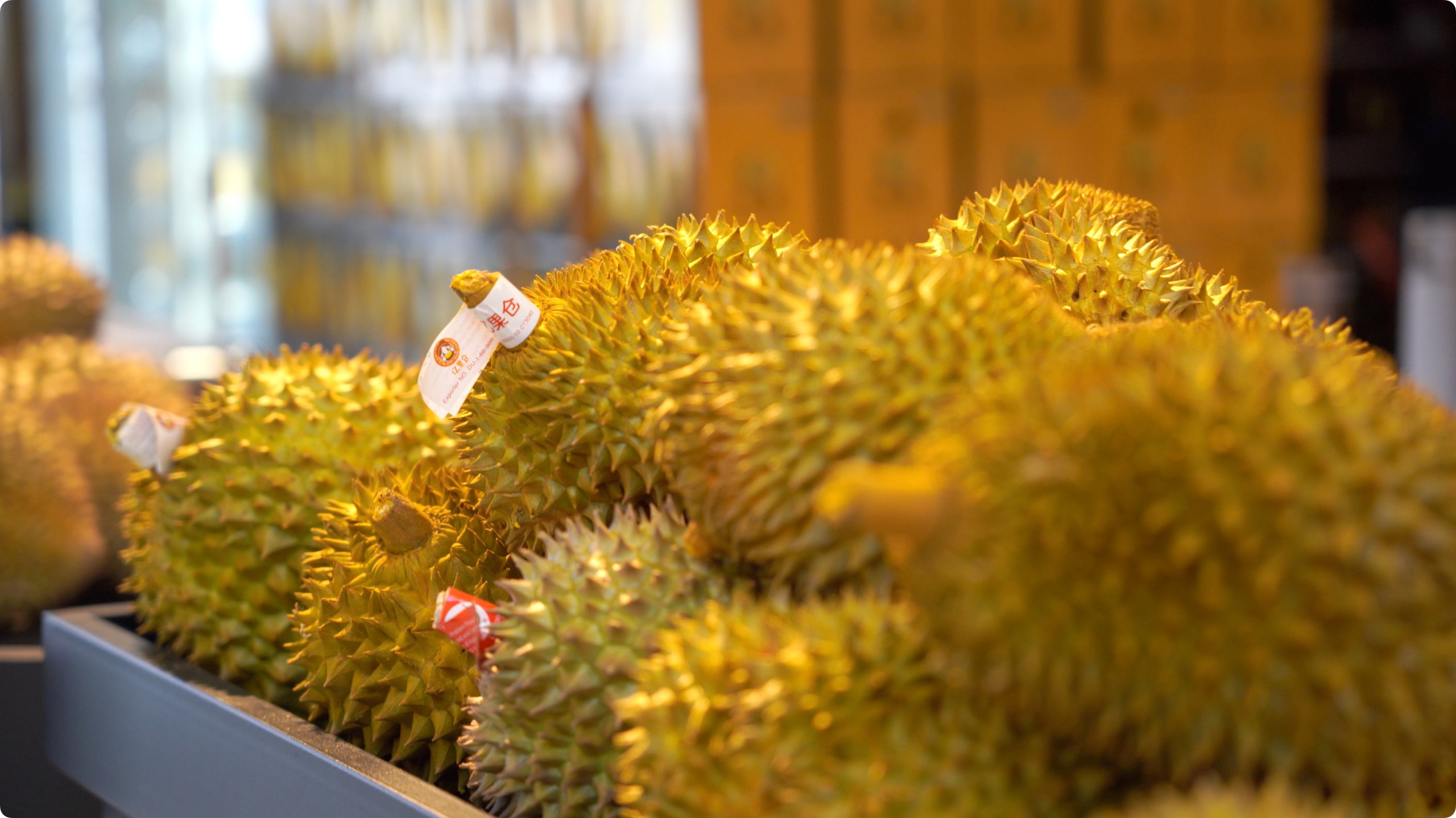 5月初，人民網(wǎng)記者申佳平攝