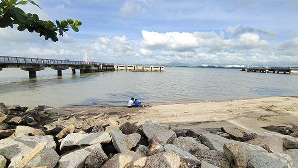 深圳紅樹林灘涂，留給了孩子們親近自然的空間。人民網(wǎng)記者 李彤?dāng)z