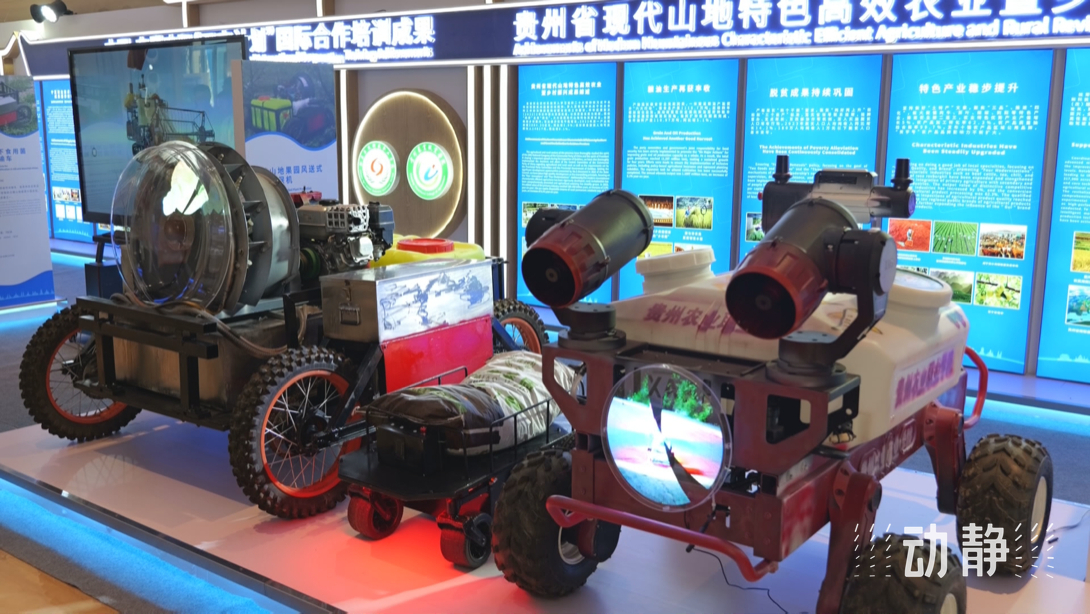 展示成果分享經(jīng)驗(yàn)，中國(guó)—東盟教育交流周深化合作共創(chuàng)未來！