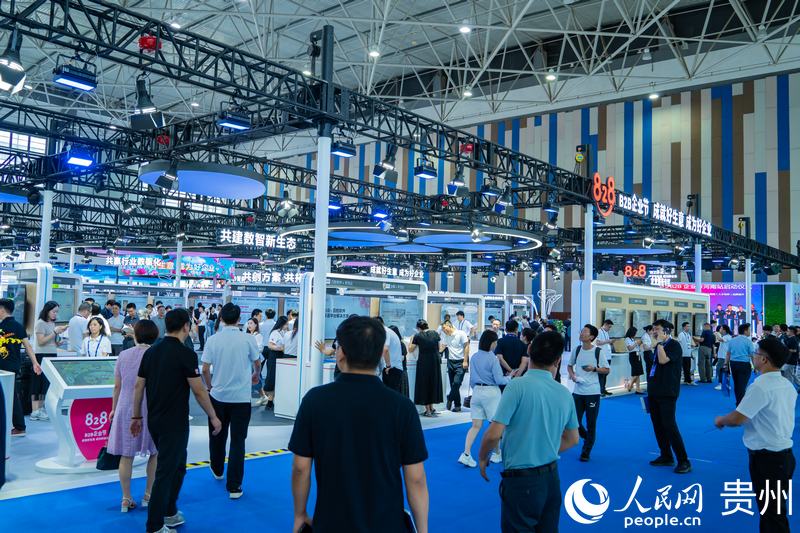 2、2024數(shù)博會(huì)共吸引400余家展商參展。人民網(wǎng) 陽(yáng)茜攝.jpg