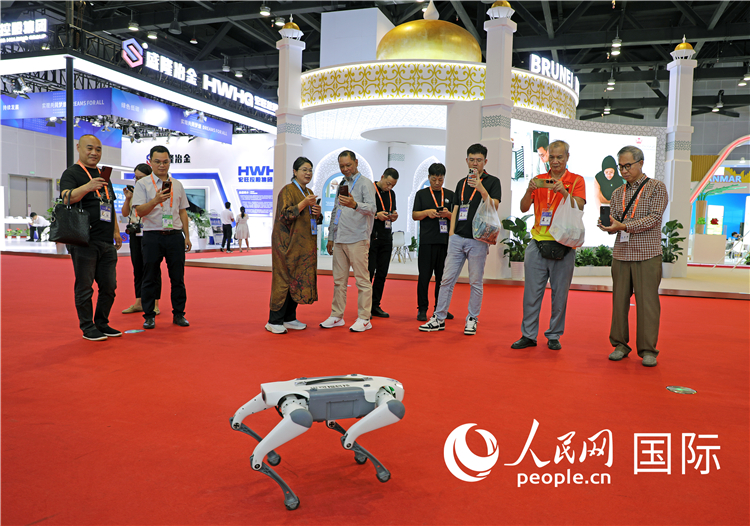 東博會(huì)上，觀眾正在參觀一只機(jī)器狗。綠色能源、新能源汽車、綠色農(nóng)產(chǎn)品等成為本屆東博會(huì)觀眾關(guān)注的焦點(diǎn)。人民網(wǎng)記者 趙益普攝