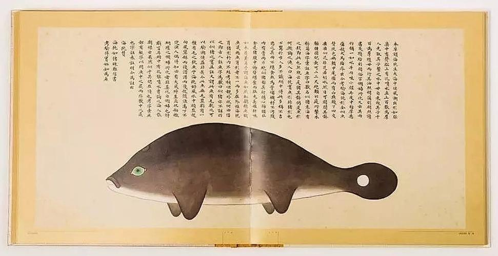 文化中國行 長江之歌丨微笑的江豚，從四千年前“游”來