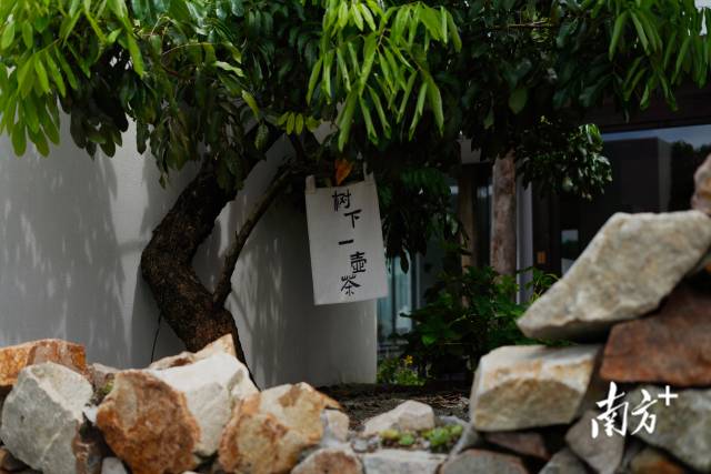 崖口村內(nèi)的文藝民宿。