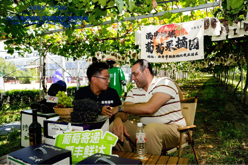 智慧“種”進葡萄園 駐華外交官品讀鄉(xiāng)村振興“中國甜”_fororder_圖片5